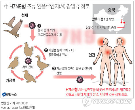 <그래픽> 中 H7N9형 조류 인플루엔자(AI) 감염 추정로