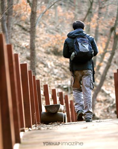  (서산=연합뉴스) 이진욱 기자 = 충남 서산 용현자연휴양림 인근에 조성된 내포문화숲길을 한 여행자가 걷고 있다. 내포문화숲길은 충남 서북부에 조성된 트레킹 코스이다. cityboy@yna.co.kr