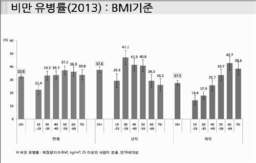 성별.연령대별 비만율(BMI기준.2013년)