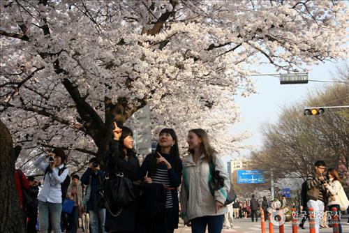 (사진제공 = 한국관광공사)