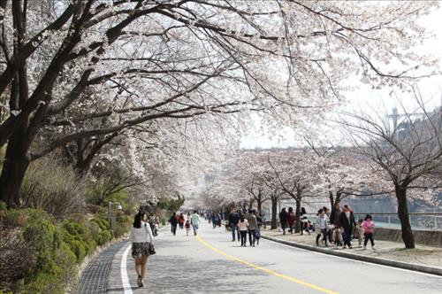 (사진제공 = 충주시)