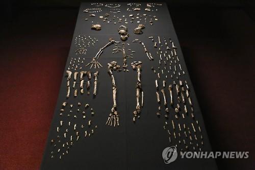 (AFP=연합뉴스)