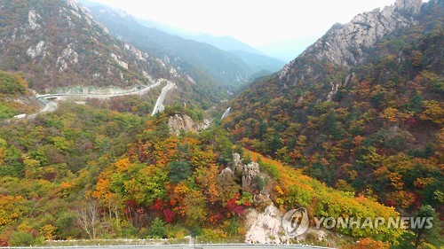 설악산 단풍[연합뉴스 자료사진]