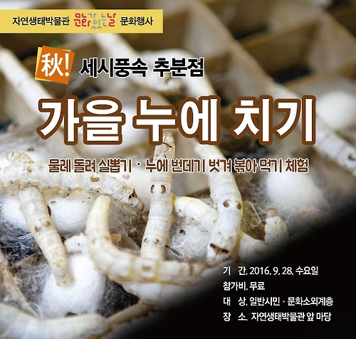 누에 번데기 볶으면 무슨 맛?…누에치기 체험 행사