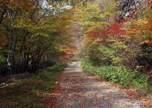 가을 정취는 진안 운장산 자연휴양림에서 즐겨요