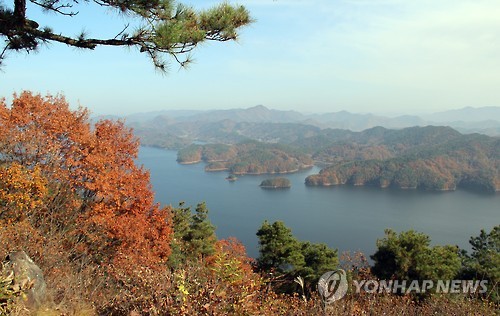 가을 끝자락 포근한 날씨…전국 유원지·축제장 북적