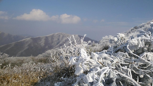 겨울왕국 소백산 눈꽃 장관…자연이 빚은 설경에 탄성이 절로
