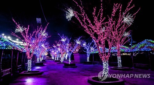 비발디파크 야외 워터파크서 별빛 축제 23일 개막_1