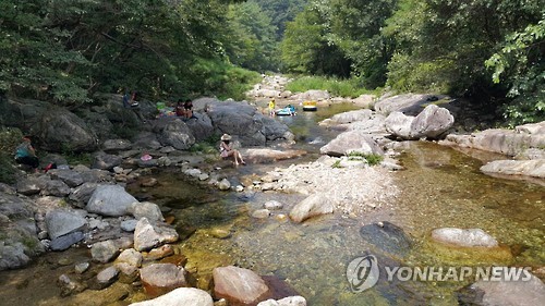 열목어 서식 치악산국립공원 부곡계곡 특별보호구역 지정