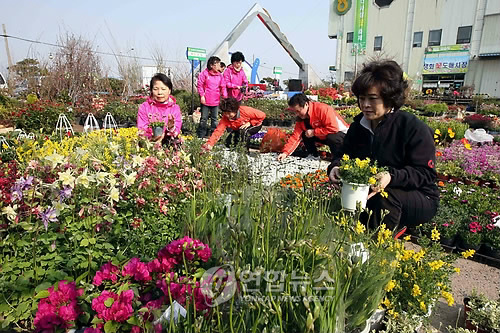 [연합뉴스 자료사진]