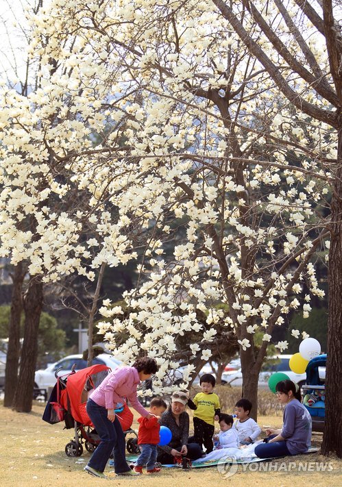 봄소풍 나선 시민들.