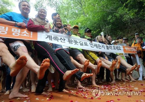 대전 계족산 맨발축제 성황…5만여명 에코힐링 만끽