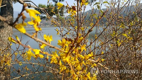 제천 의림지 봄 여행주간 방문객 11만명…증가율 전국 1위