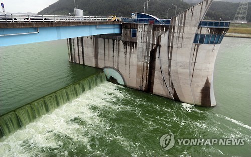 초록빛으로 변한 낙동강 수문 방류[연합뉴스 자료사진]