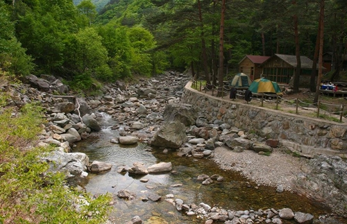 휴양림 전역을 따라 펼쳐진 미천골 자연휴양림은 천연 풀장이 코앞에 있다(성연재 )