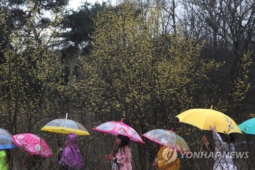 충북 오후부터 빗방울…유명 산·유원지 한산_1