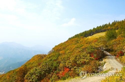 강원랜드, 사계절 산악형 생태관광상품 개발_1