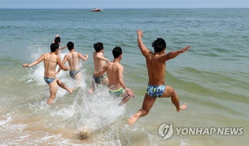 시원한 바다로 '풍덩'[연합뉴스 자료사진]