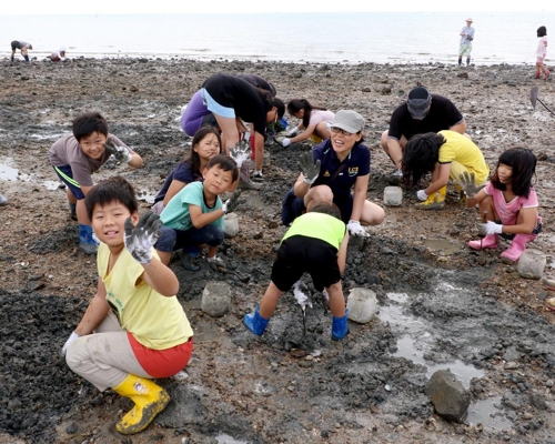 대야도 갯벌체험 [충남도 제공=연합뉴스]