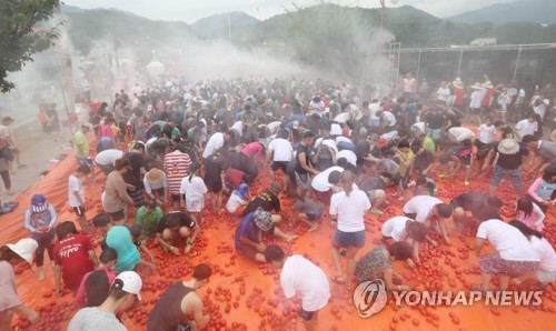 화천토마토축제 성황리에 폐막…폭염 속 15만명 찾아