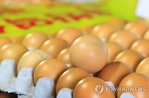 살충제 검출 계란 [연합뉴스 자료사진]