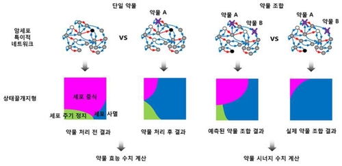 개인맞춤형 함암치료 기술 개념도 [KAIST 제공=연합뉴스]