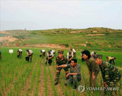 북한 가뭄극복 총동원령［서울=연합뉴스］