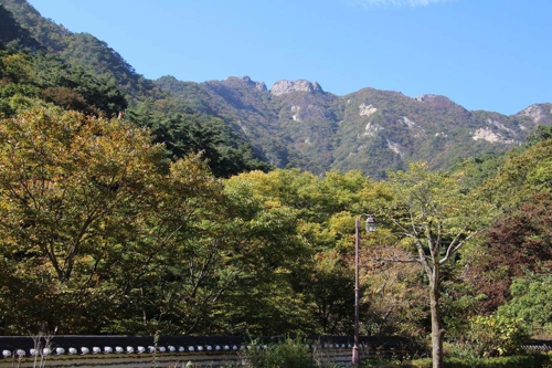 계룡산 국립공원에 단풍 물들기 시작…평년보다 4일 빨라
