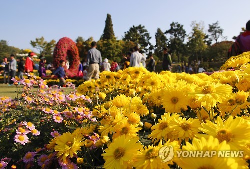 국화 향은 오라Go…청남대 국화축제 21일 개막