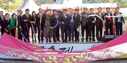 강원 홍천 인삼·한우 명품축제 개막…3일간 열려