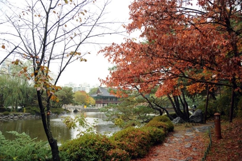 가을 정취 느껴요…성남 중앙공원에 낙엽거리 운영