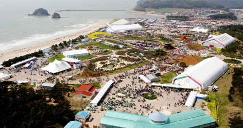 2009년 안면도 꽃지 해안공원에서 열린 꽃박람회