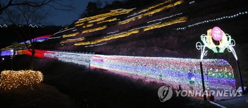 [카메라뉴스] 겨울밤 보성 녹차밭 수놓은 빛물결
