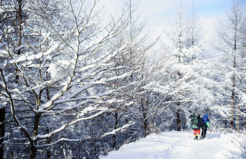 [성탄연휴 N 여행] 호남권: 천왕·반야봉 눈꽃 못지않아요…지리산 바래봉 겨울왕국