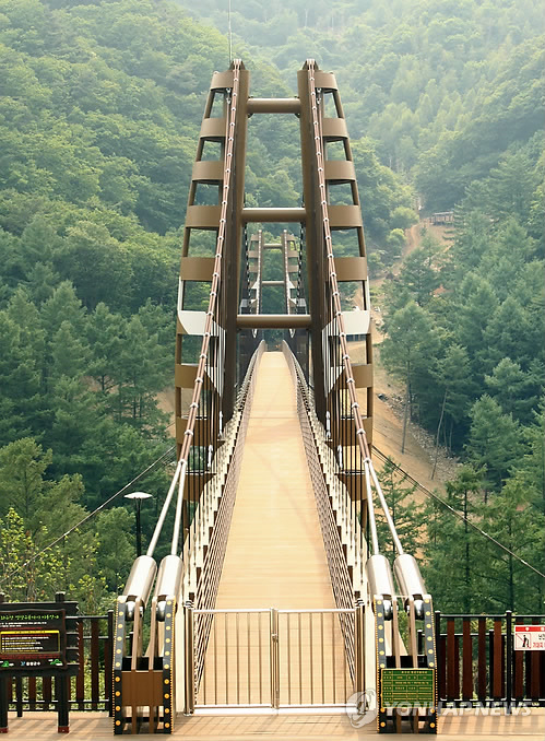 증평 좌구산 휴양림 출렁다리 일대 3㎞ 둘레길 조성