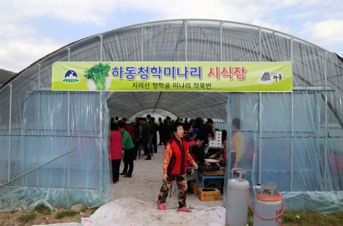 맛보고 사가세요 3일 하동 청학 미나리 축제