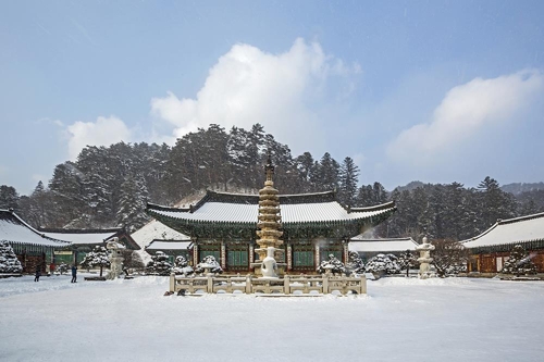 평창올림픽 계기로 한국행 항공권 검색량 13% 증가