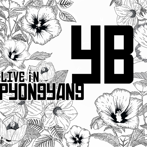 'YB ̺  '  Ŷ [۴ ] 