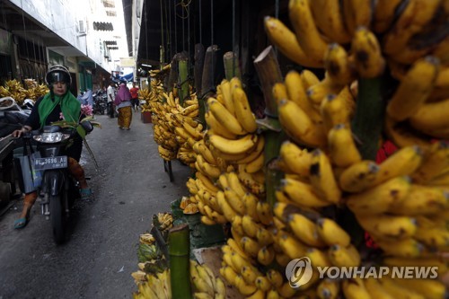 인도네시아 바나나 판매상가 / EPA=연합뉴스