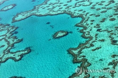호주 그레이트배리어리프의 산호초 자료사진