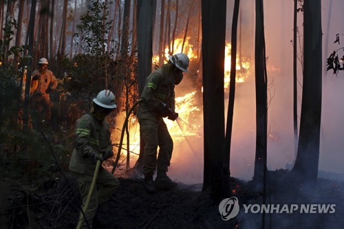 화재 진압하는 포르투갈 소방대원들