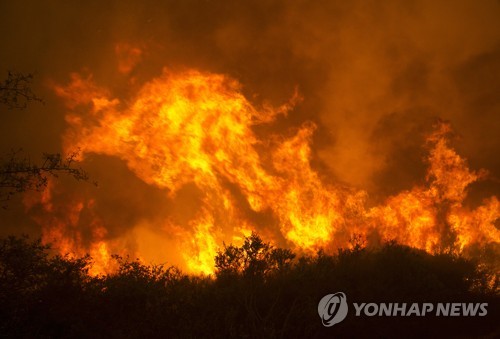 미국 캘리포니아 산불 현장[AP=연합뉴스]