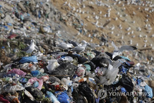 플라스틱 쓰레기로 오염되는 바다 