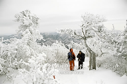 태백산 눈 축제 (윤명남 기자)