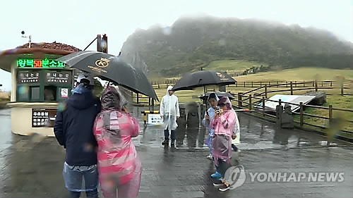 제주도 가을비