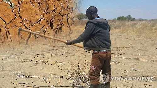 "곡식 한톨 못거둬"…최악 가뭄에 속 타는 아프리카 농민들(CG)
