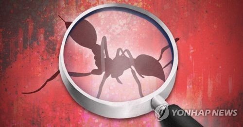 '또 나타난 붉은불개미'… 對中교역 비중 60% 인천항 비상