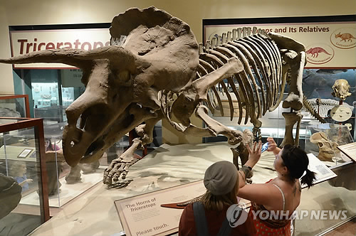 미국 국립자연사박물관의 공룡 화석(EPA=연합뉴스)