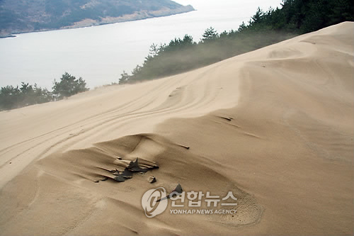 신안 우이도 모래언덕