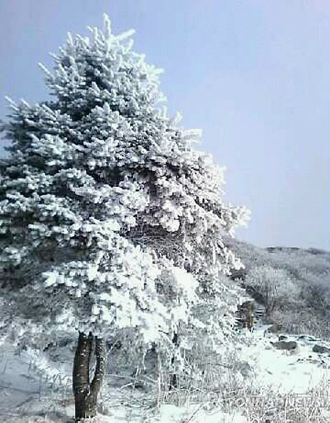 덕유산, 환상의 설원 (이윤승 기자)